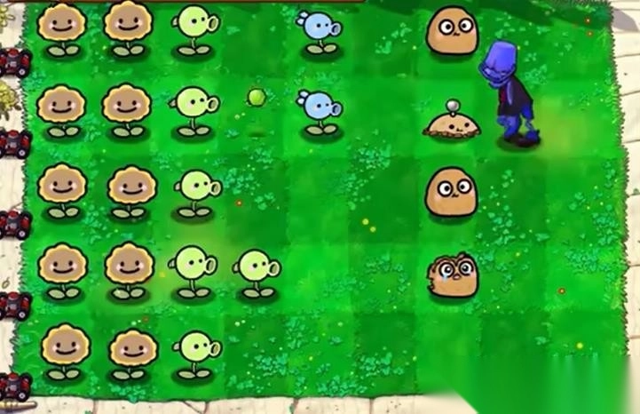 植物大战僵尸幼儿园版1