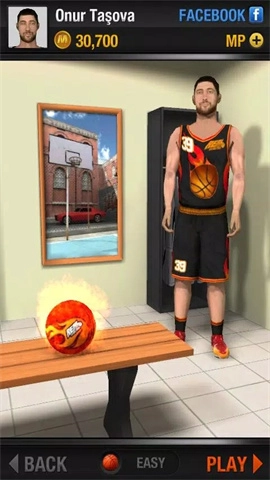 Real Basketball1