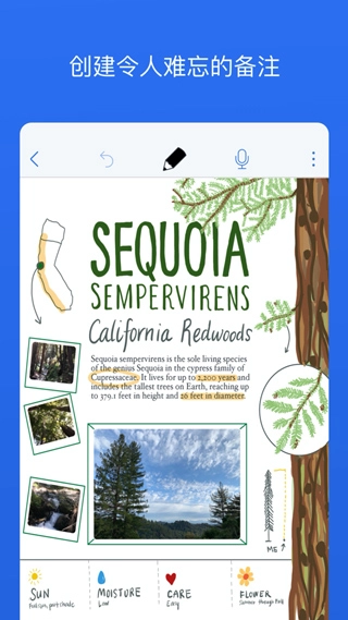 Notability4
