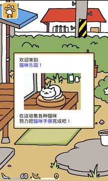 猫咪后院1