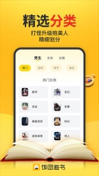 饭团追书1