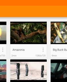 VLC2