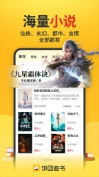 饭团追书3