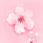 桃花视频