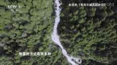 过客tv电视4