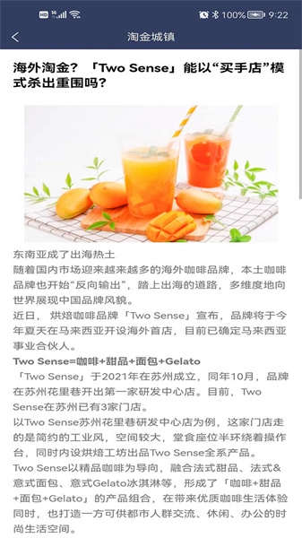 淘金城镇3