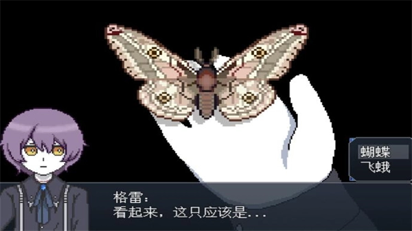 白夜博物馆游戏安卓版-白夜博物馆游戏无广告版-白夜博物馆游戏汉化版-白夜博物馆游戏合集