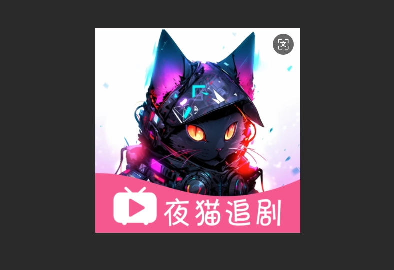 夜猫追剧版本大全