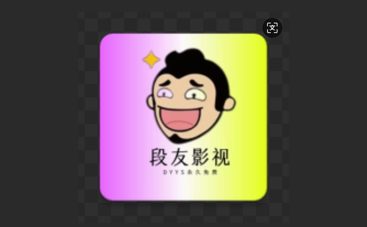 段友影视版本大全