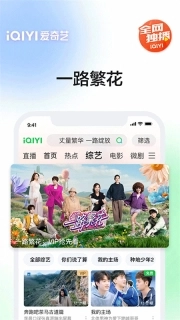爱奇艺3