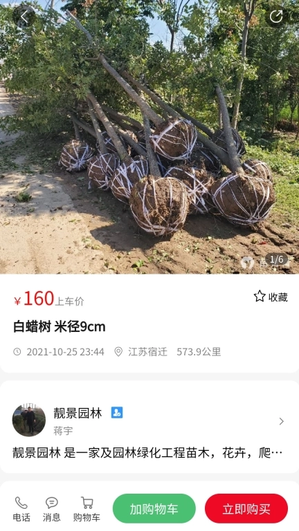 苗青青2