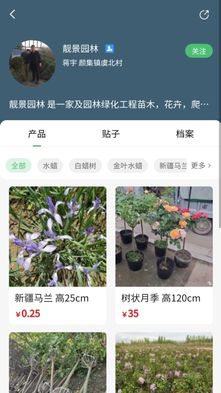 苗青青3