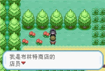 口袋妖怪火红4