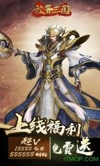 放置三国满V版1