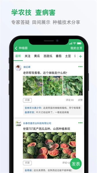 种子库免费下载