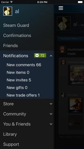 steam3