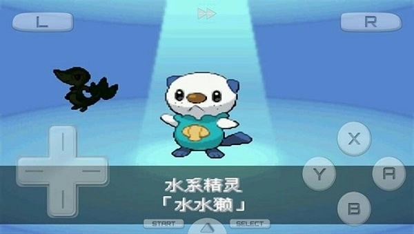 口袋妖怪黑22