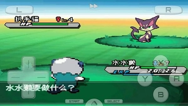 口袋妖怪黑23