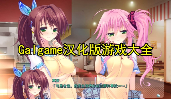 Galgame汉化版游戏大全