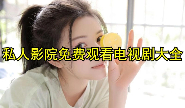私人影院免费观看电视剧大全