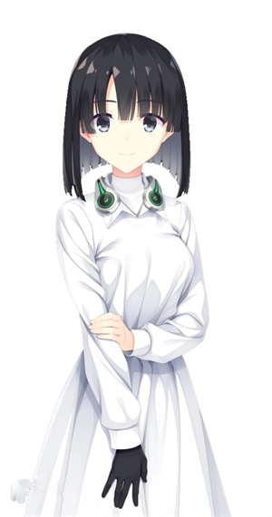 桥姬雏菊