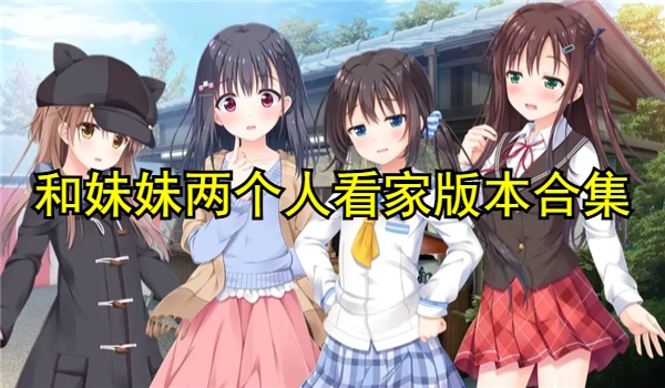 和妹妹两个人看家安卓汉化版