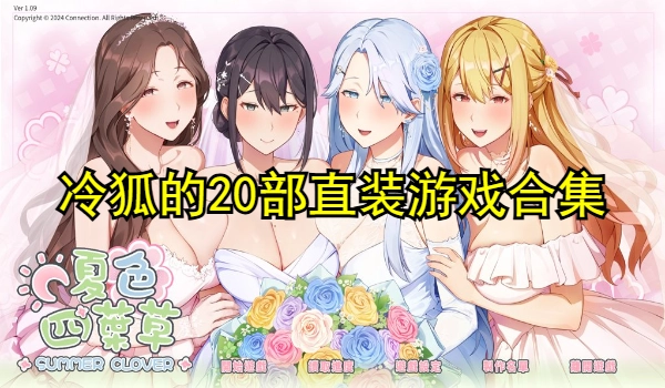 冷狐的20部直装游戏合集