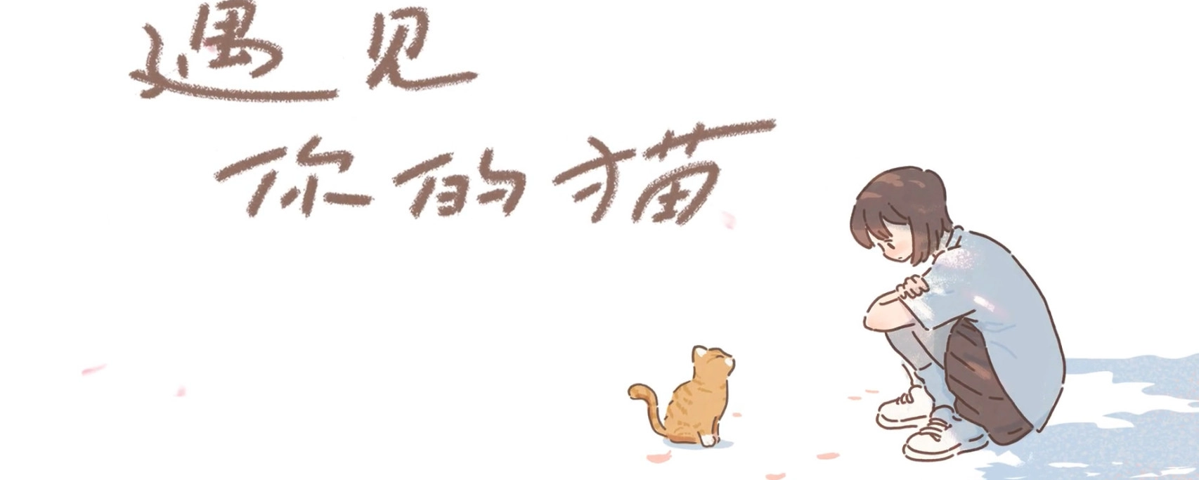 遇见你的猫