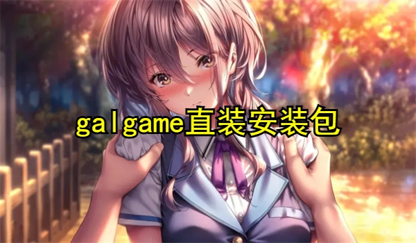 galgame直装安装包
