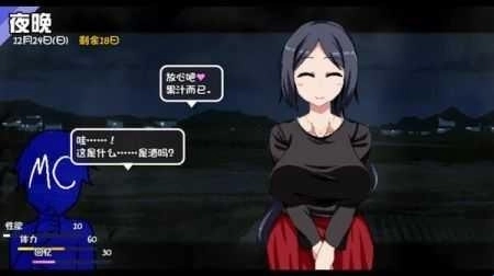 冬日狂想曲游戏玩法-3