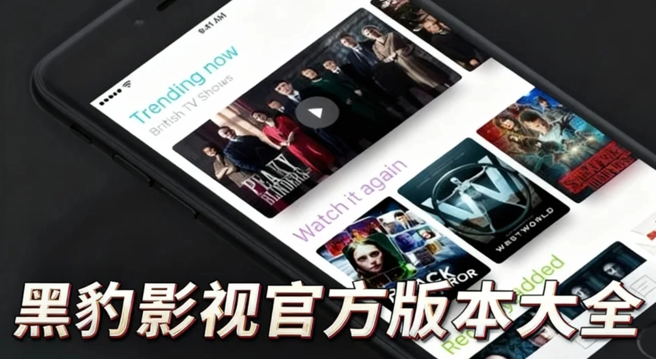 黑豹影视官方版本大全