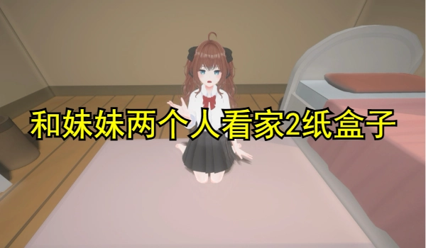 和妹妹两个人看家2纸盒子游戏