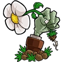 植物大战僵尸转基因版2.2.6