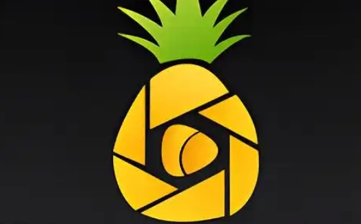 菠萝视频系列下载大全