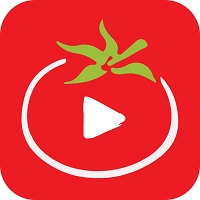 番茄影视大全