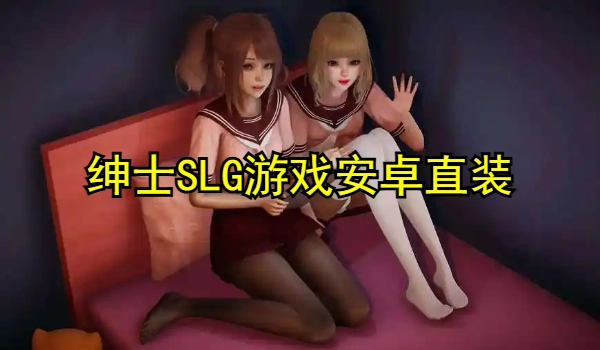 绅士SLG游戏安卓直装