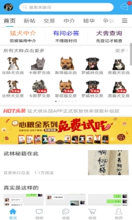 猛犬俱乐部