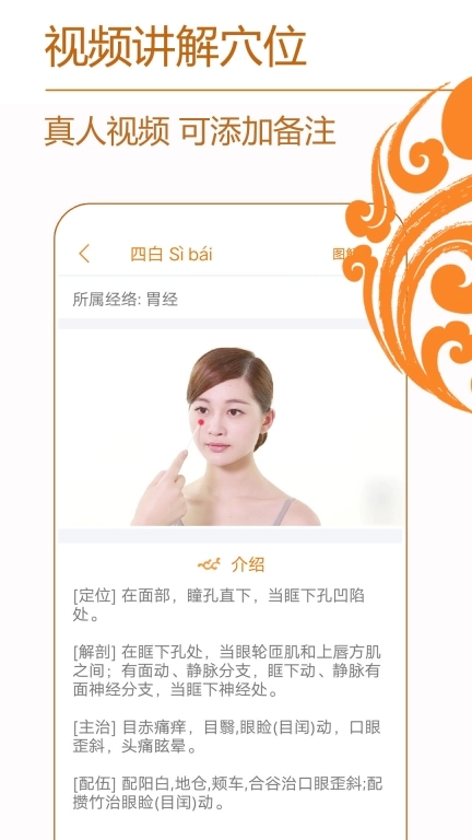 经络养生-中医穴位针灸按摩