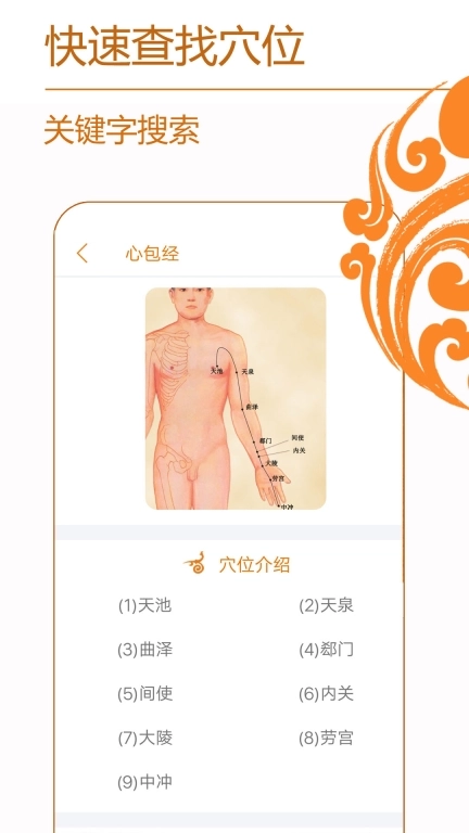 经络养生-中医穴位针灸按摩