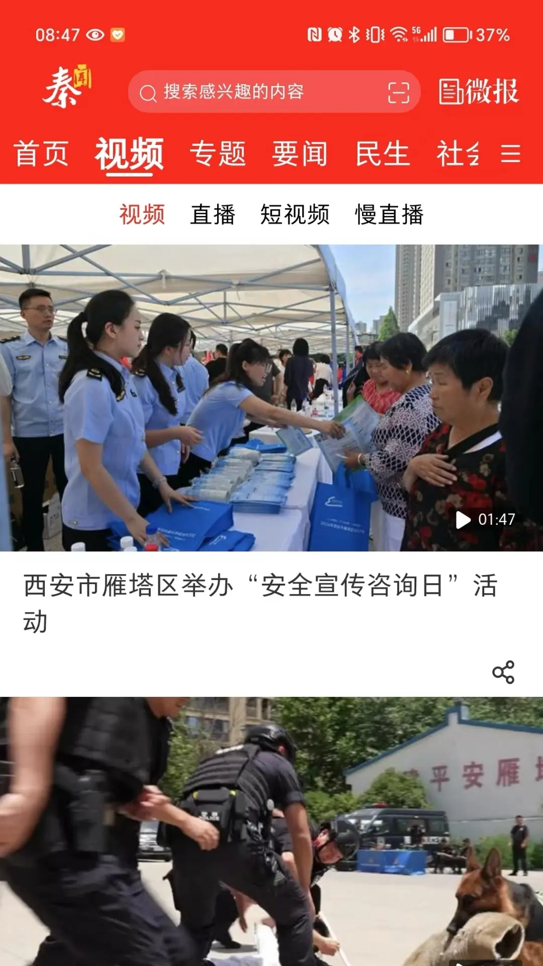 秦闻