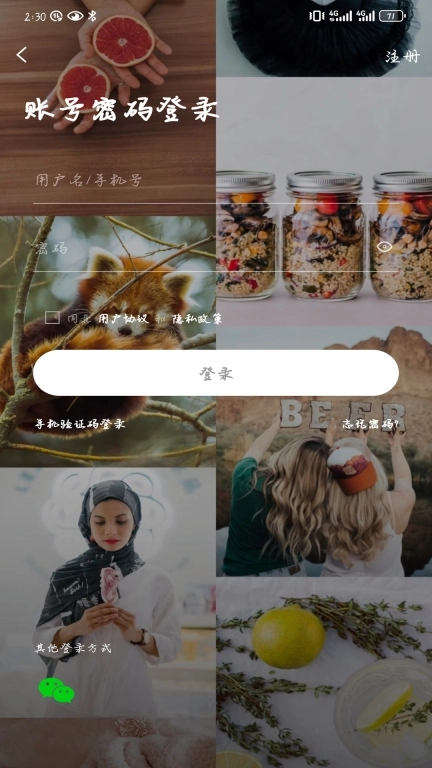 掌上洛南