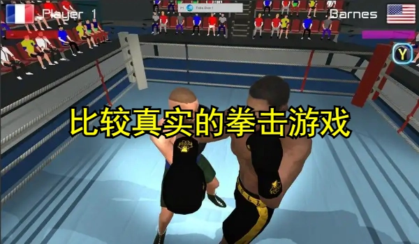 比较真实的拳击游戏