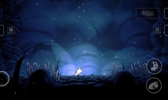 空洞骑士小辐光皮肤模组下载安装