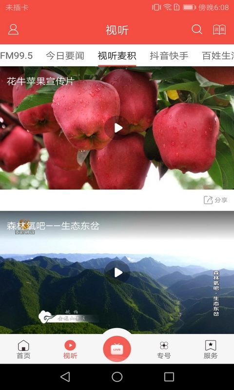 掌中麦积