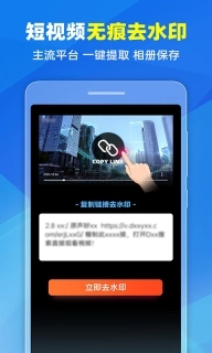 去水印Pro王-去水印无痕专家