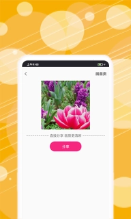 动态表情包制作-表情包制作