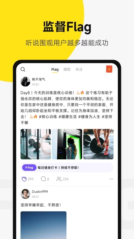 脸疼-Flag目标管理