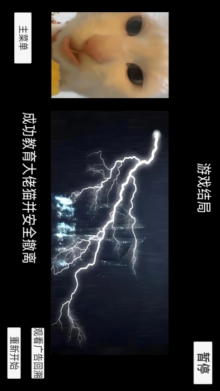 猫猫惊魂夜-猫meme校园历险