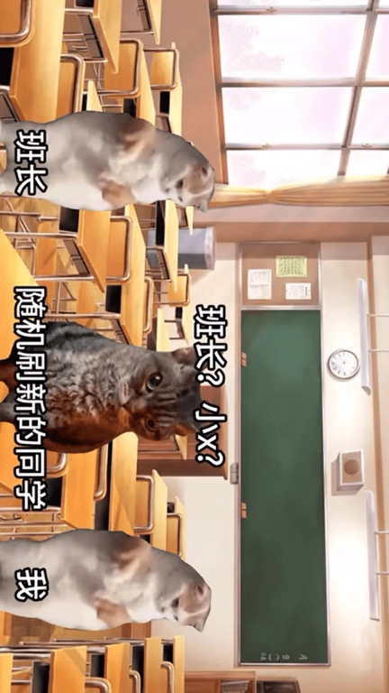 猫猫惊魂夜-猫meme校园历险