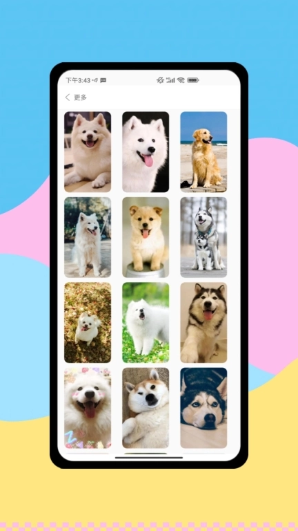 狗语